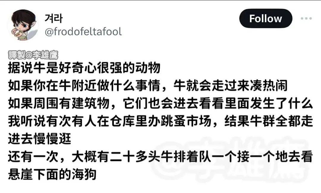 【爆笑】“面试完 vs 上完班两个月后......”哈哈哈哈哈哈哈哈哈真的无欲无求了(组图) - 12