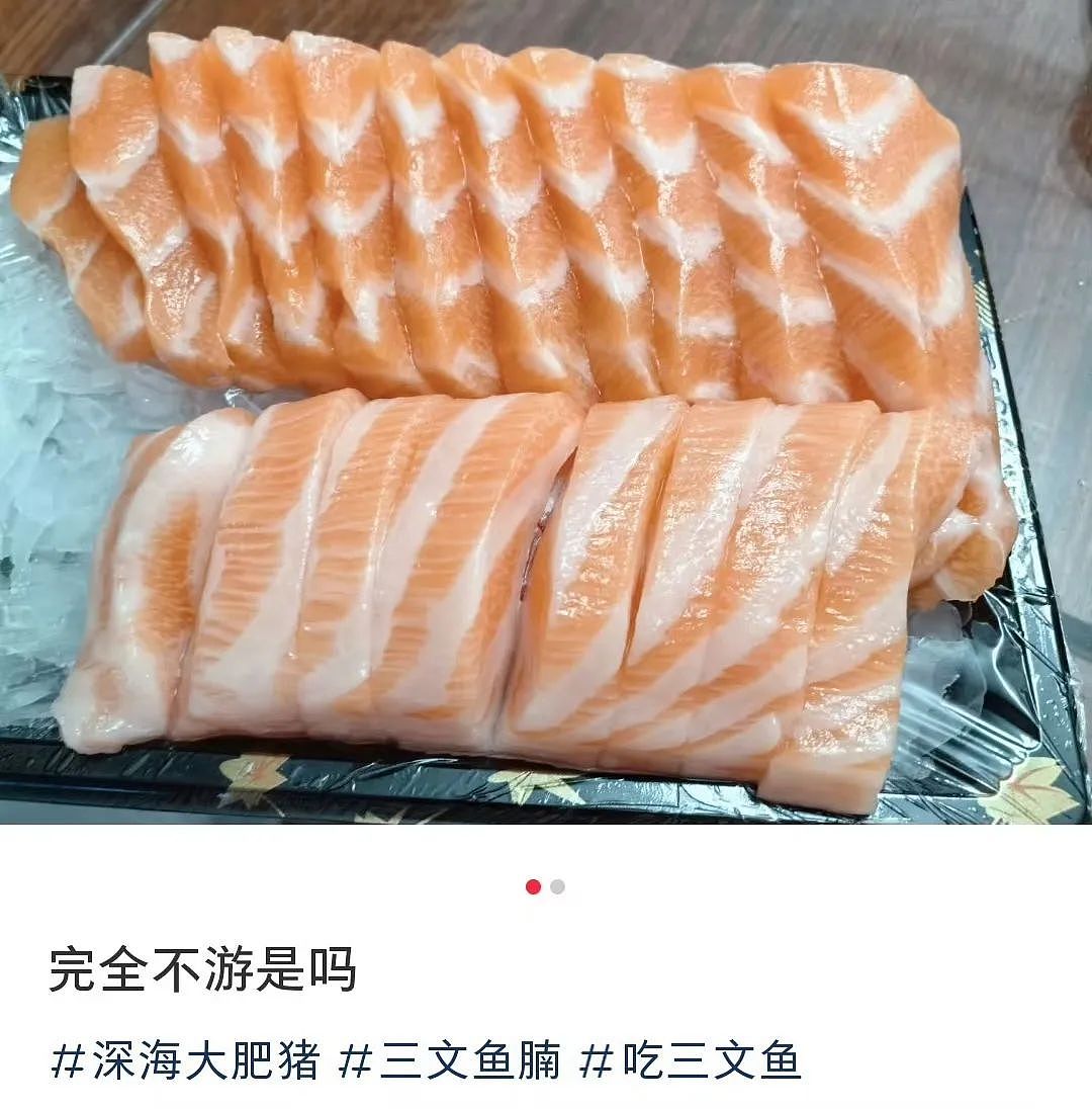 【爆笑】“面试完 vs 上完班两个月后......”哈哈哈哈哈哈哈哈哈真的无欲无求了(组图) - 63
