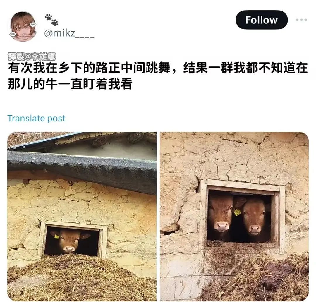 【爆笑】“面试完 vs 上完班两个月后......”哈哈哈哈哈哈哈哈哈真的无欲无求了(组图) - 13