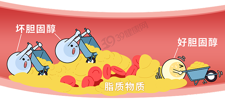 血型决定寿命长短？60万人研究发现：这种血型或更易中风（组图） - 4