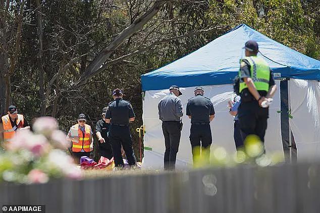 最新！ 6人当场死亡，澳洲充气城堡被风吹上10米高空，现场惨不忍睹，运营者被判无罪（组图） - 8