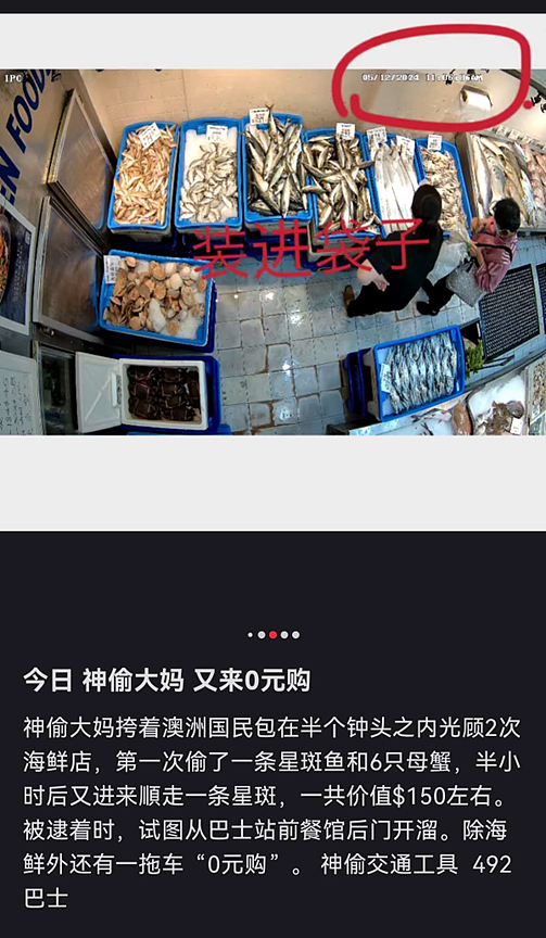华人大妈在国外超市门前为争1个残疾人停车位互殴！视频疯传，外国网友看呆了…（视频/组图） - 19