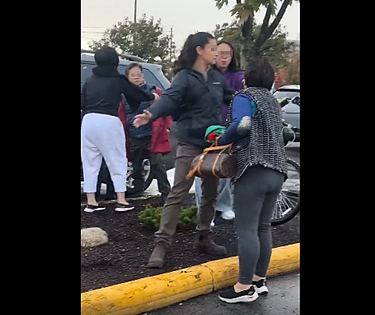 华人大妈在国外超市门前为争1个残疾人停车位互殴！视频疯传，外国网友看呆了…（视频/组图） - 5