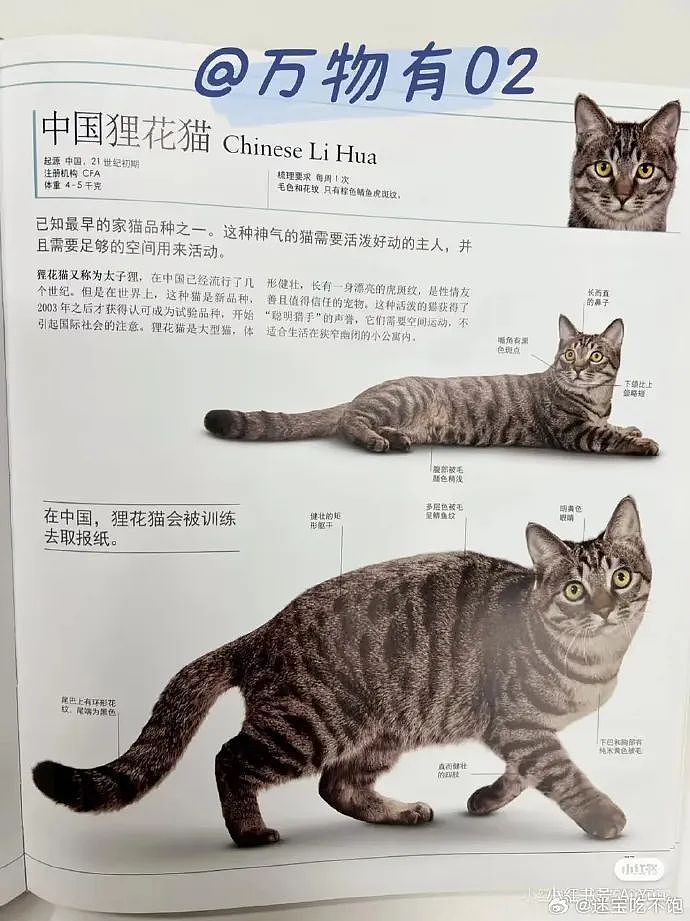 【爆笑】男朋友转给我5000块钱，备注分手后全额退还？（组图） - 10