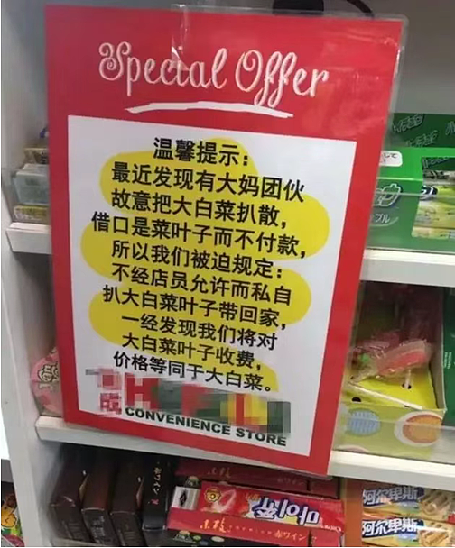华人大妈在国外超市门前为争1个残疾人停车位互殴！视频疯传，外国网友看呆了…（视频/组图） - 17