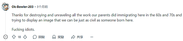华人大妈在国外超市门前为争1个残疾人停车位互殴！视频疯传，外国网友看呆了…（视频/组图） - 14