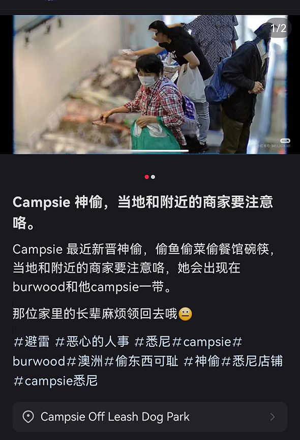 华人大妈在国外超市门前为争1个残疾人停车位互殴！视频疯传，外国网友看呆了…（视频/组图） - 18