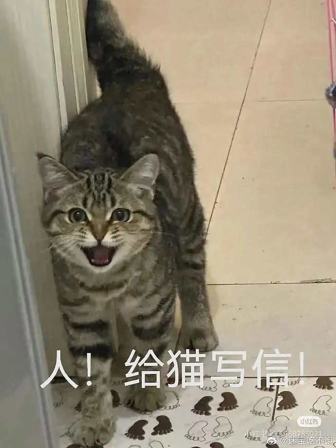 【爆笑】男朋友转给我5000块钱，备注分手后全额退还？（组图） - 11