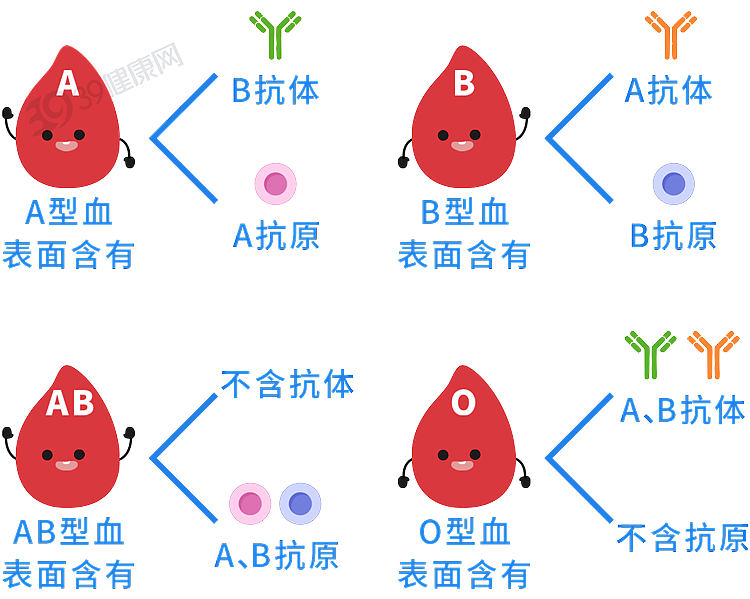 血型决定寿命长短？60万人研究发现：这种血型或更易中风（组图） - 2