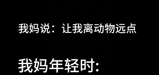 【爆笑】男朋友转给我5000块钱，备注分手后全额退还？（组图） - 30