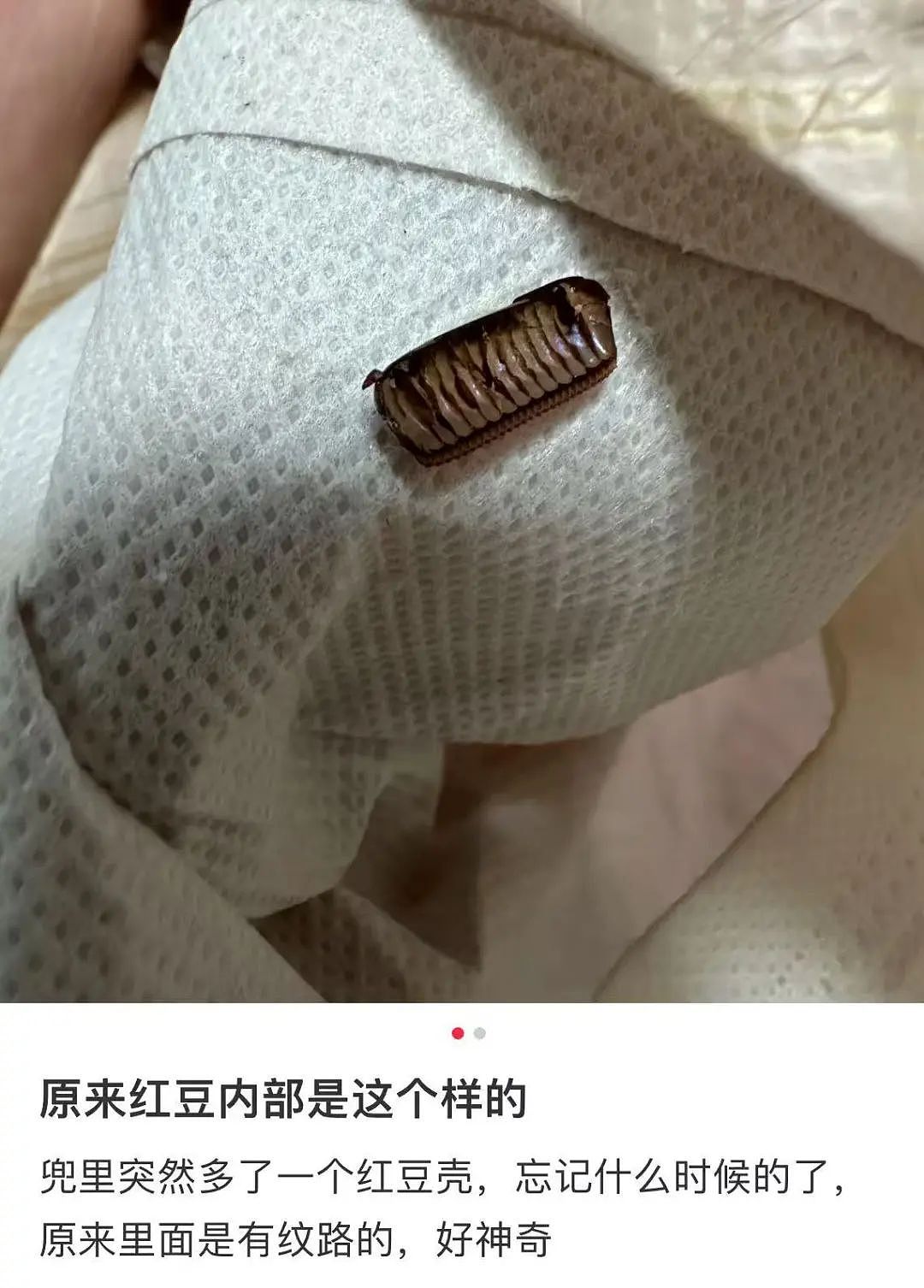 【爆笑】“古有满门抄zhan今有满门被裁…?”网友夺笋:哈哈哈倒霉一家人更新了(组图) - 32