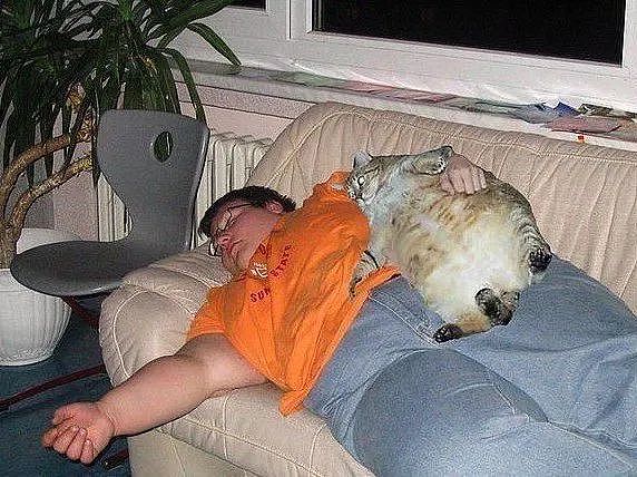 【宠物】女子在猫面前假装打老公，没想到猫马上加入，猫：妈，让我来，我劲儿大（组图） - 17