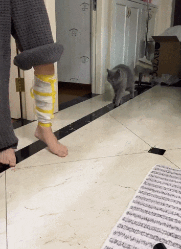 【宠物】女子在猫面前假装打老公，没想到猫马上加入，猫：妈，让我来，我劲儿大（组图） - 10