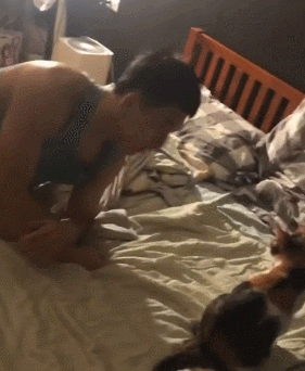 【宠物】女子在猫面前假装打老公，没想到猫马上加入，猫：妈，让我来，我劲儿大（组图） - 4