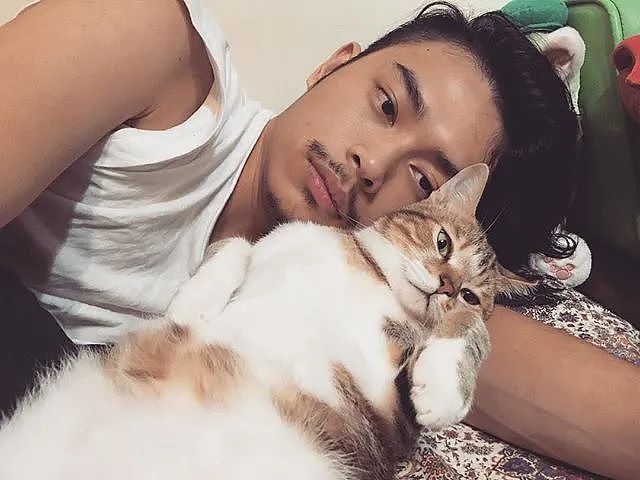 【宠物】女子在猫面前假装打老公，没想到猫马上加入，猫：妈，让我来，我劲儿大（组图） - 19