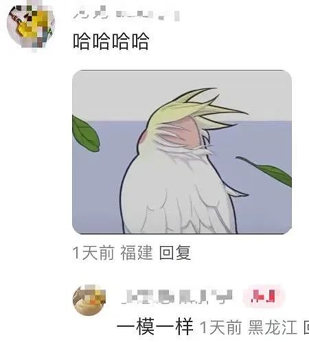 【爆笑】“讨厌的女同事工作失误却赖到我头上…？”啊啊啊看到结局一阵暴爽（组图） - 88