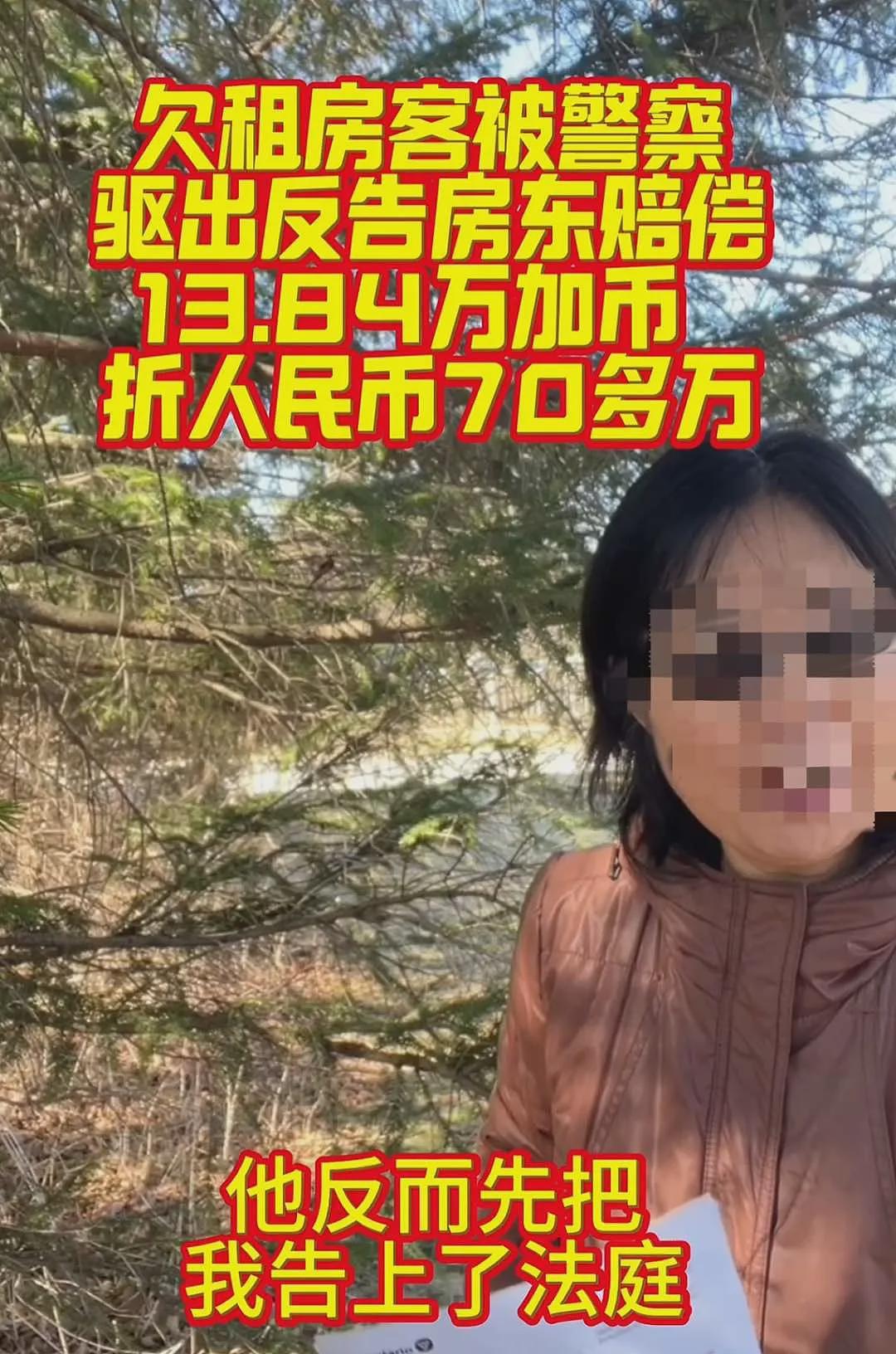 加拿大房东噩梦！职业租户欠租毁房、屋内变垃圾场！华人房东遭索赔$13万（组图） - 6