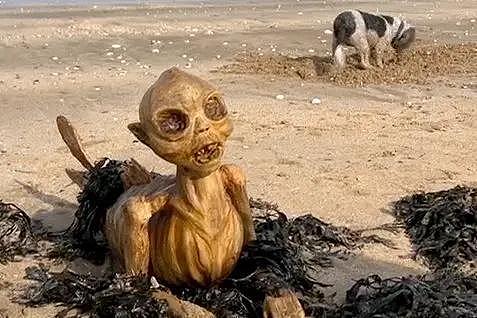 英国海滩惊现神秘骨架生物，鱼尾人形，数十万人百思不得其解（组图） - 3