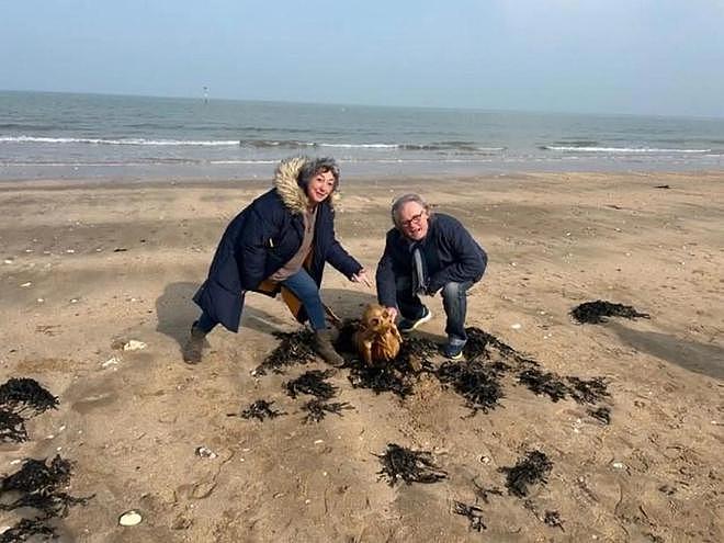 英国海滩惊现神秘骨架生物，鱼尾人形，数十万人百思不得其解（组图） - 2