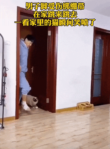 【宠物】女子在猫面前假装打老公，没想到猫马上加入，猫：妈，让我来，我劲儿大（组图） - 9