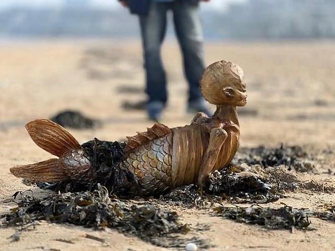 英国海滩惊现神秘骨架生物，鱼尾人形，数十万人百思不得其解（组图） - 4