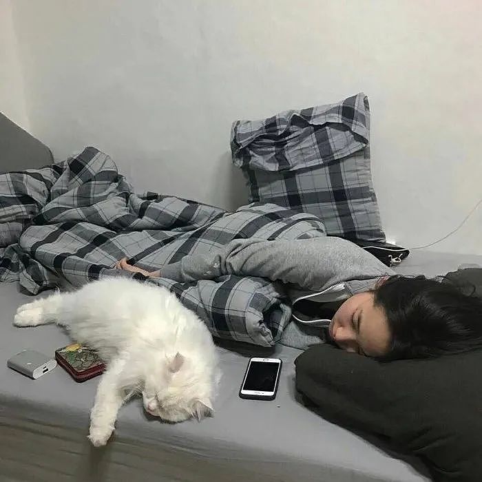 【宠物】女子在猫面前假装打老公，没想到猫马上加入，猫：妈，让我来，我劲儿大（组图） - 18