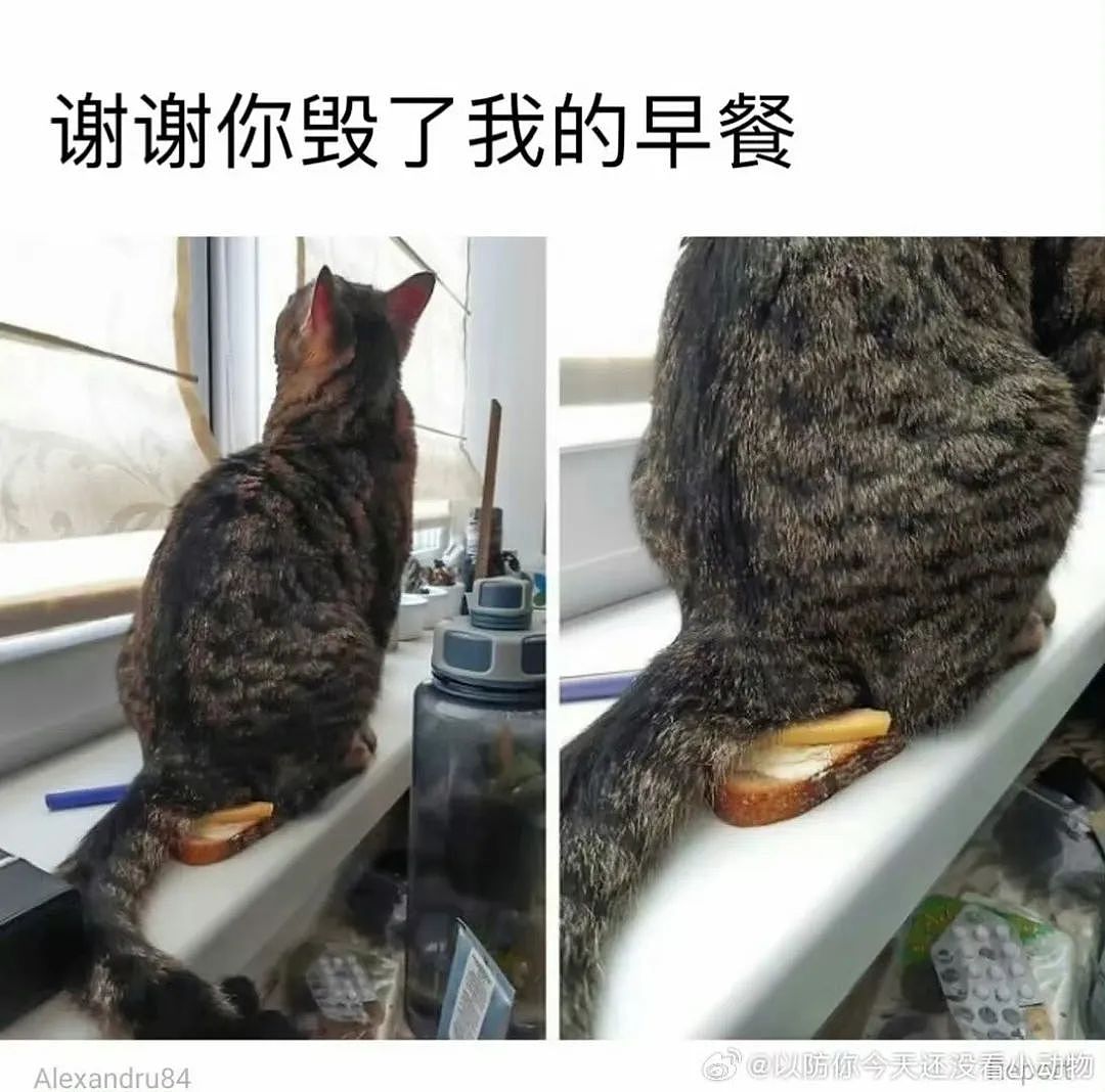 【爆笑】“讨厌的女同事工作失误却赖到我头上…？”啊啊啊看到结局一阵暴爽（组图） - 78
