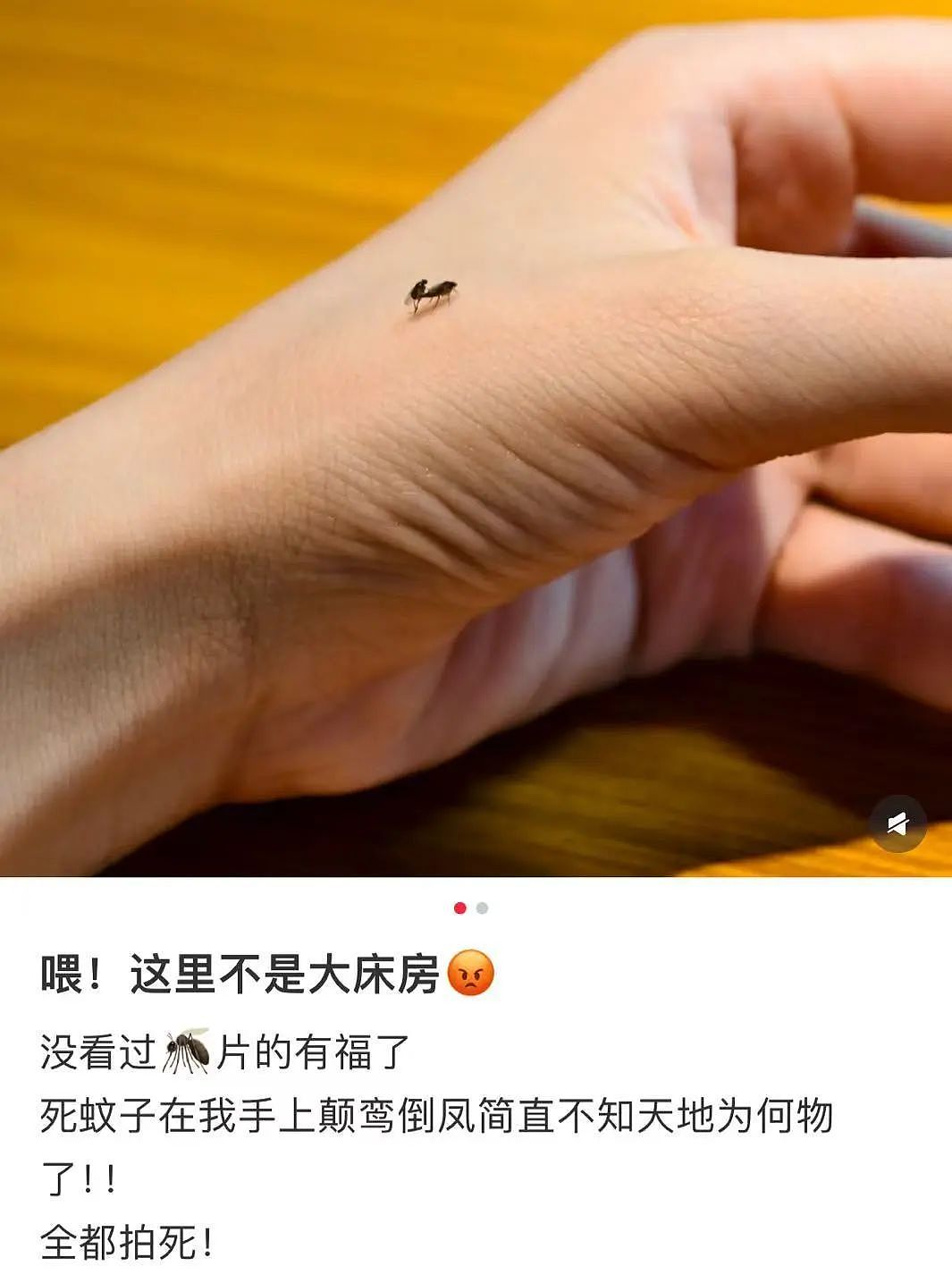 【爆笑】“讨厌的女同事工作失误却赖到我头上…？”啊啊啊看到结局一阵暴爽（组图） - 23