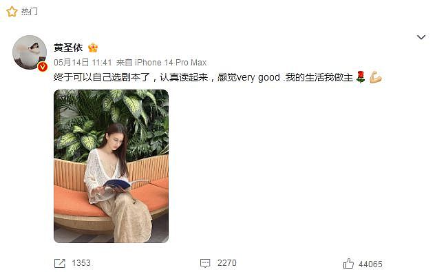 黄圣依妈妈反对女儿下嫁，因三点对杨子不满，二人离婚后差距拉开（组图） - 27