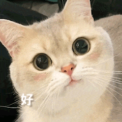 【宠物】女子在猫面前假装打老公，没想到猫马上加入，猫：妈，让我来，我劲儿大（组图） - 20