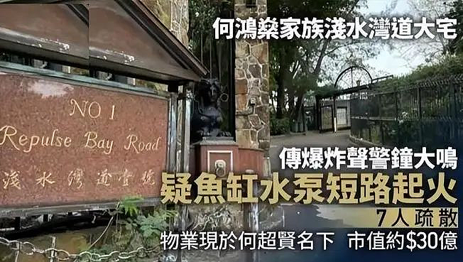 赌王孙女伦敦街头摆地摊?6岁时父母双亡,曾患癌症三期,如今她过成了这样......(组图) - 7