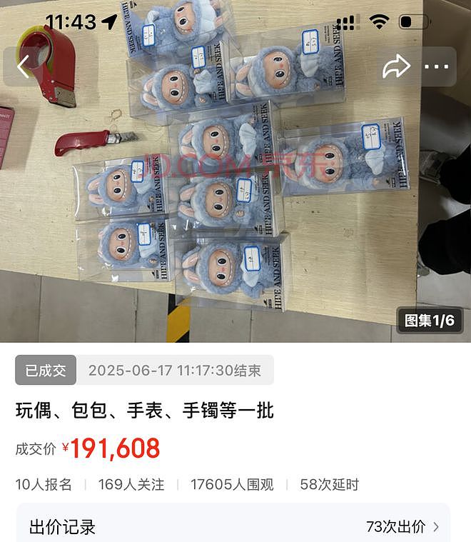 39个LABUBU玩偶等被海关扣罚后拍卖,以超19万成交(组图) - 1