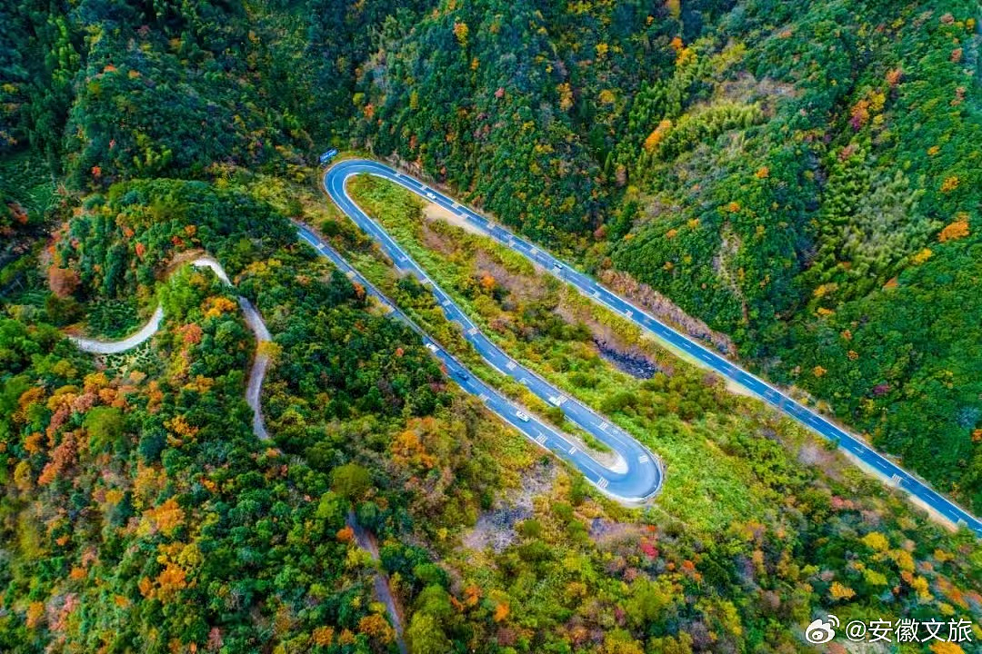 安徽草根大厨，干出100亿市值，秘诀只有4个字（组图） - 5