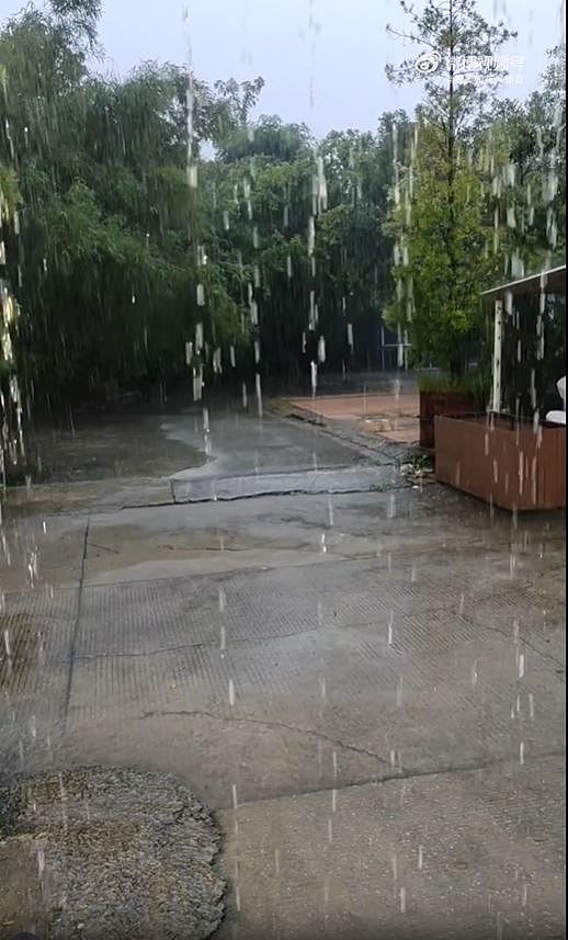 北上注意!珠海及中山发布暴雨红色预警,全市停课,深圳发布橙色预警(视频/组图) - 6