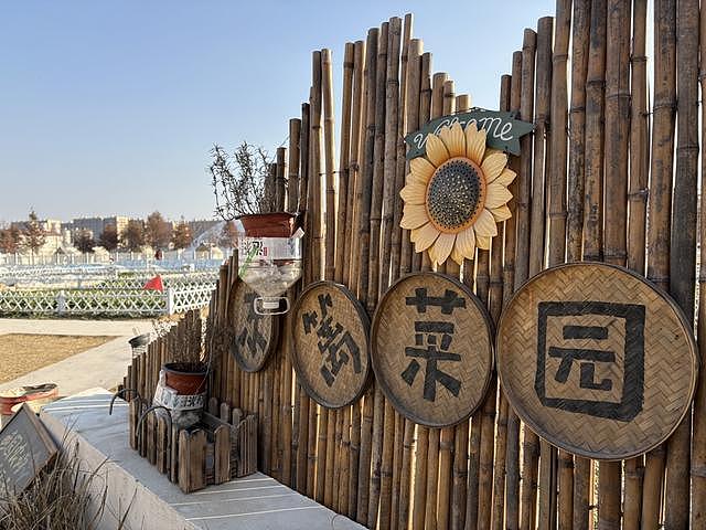 白天格子间打工，周末当农民，上海年轻人爱上租地种菜（组图） - 8