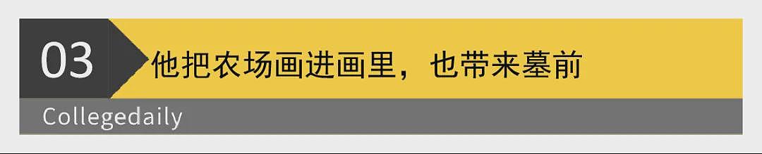 泪目!袁隆平墓前,非洲留学生带来一袋非洲大米(组图) - 9