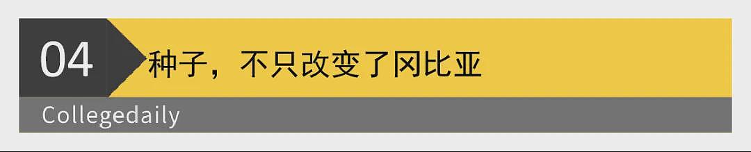 泪目!袁隆平墓前,非洲留学生带来一袋非洲大米(组图) - 13