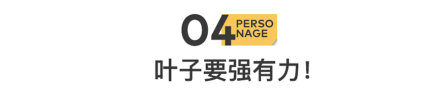 他去世了，留下几十箱秘密（组图） - 32