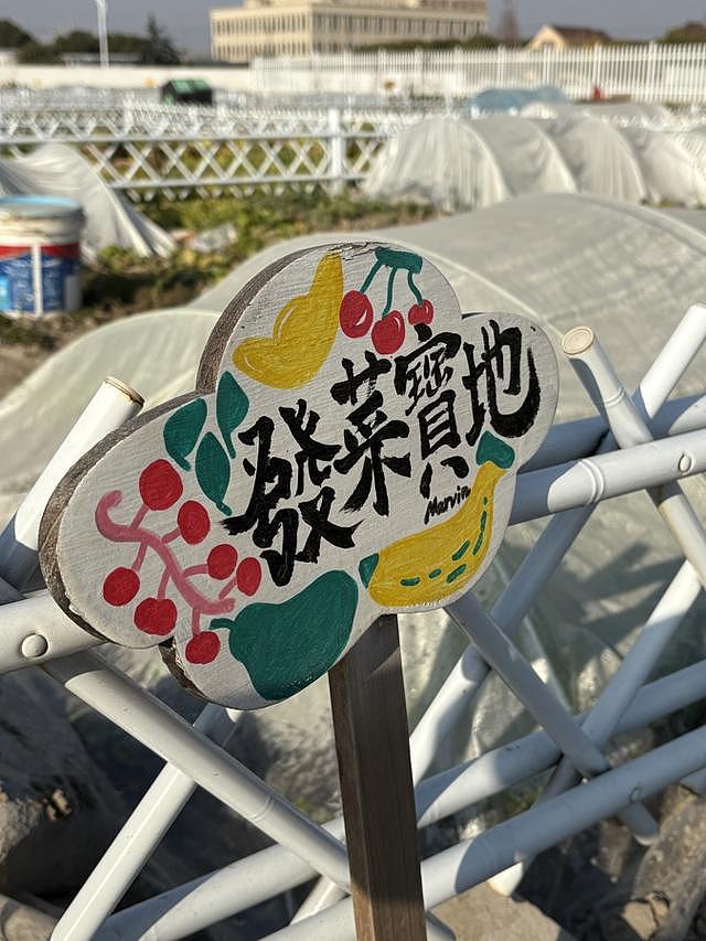 白天格子间打工，周末当农民，上海年轻人爱上租地种菜（组图） - 6