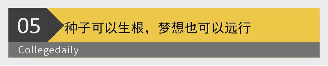 泪目!袁隆平墓前,非洲留学生带来一袋非洲大米(组图) - 18