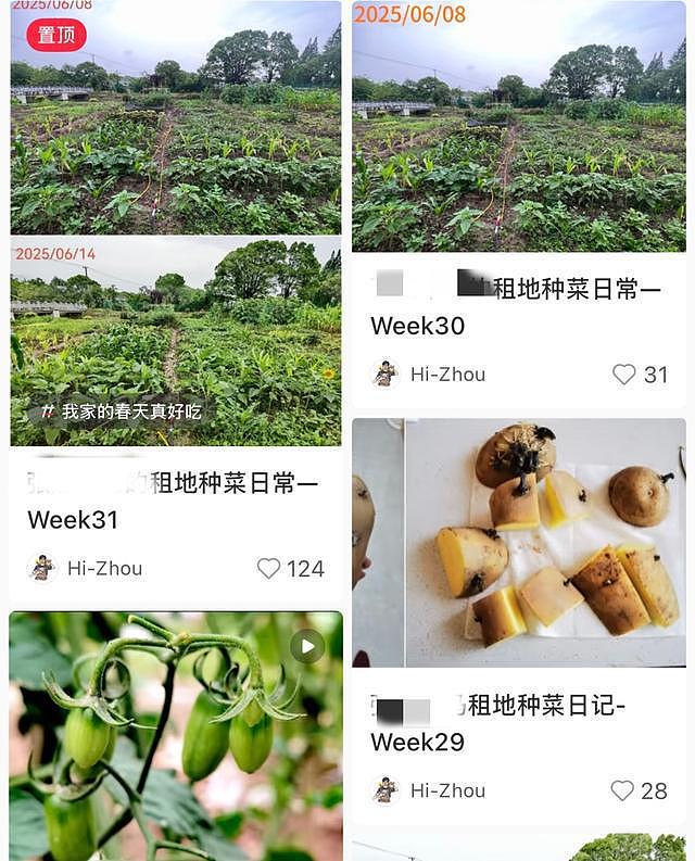 白天格子间打工，周末当农民，上海年轻人爱上租地种菜（组图） - 1