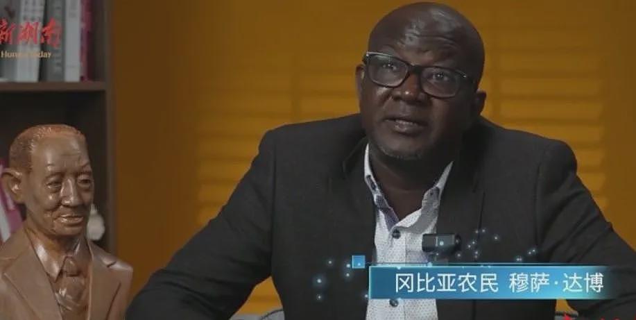 泪目!袁隆平墓前,非洲留学生带来一袋非洲大米(组图) - 3