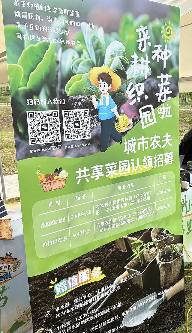 白天格子间打工，周末当农民，上海年轻人爱上租地种菜（组图） - 7
