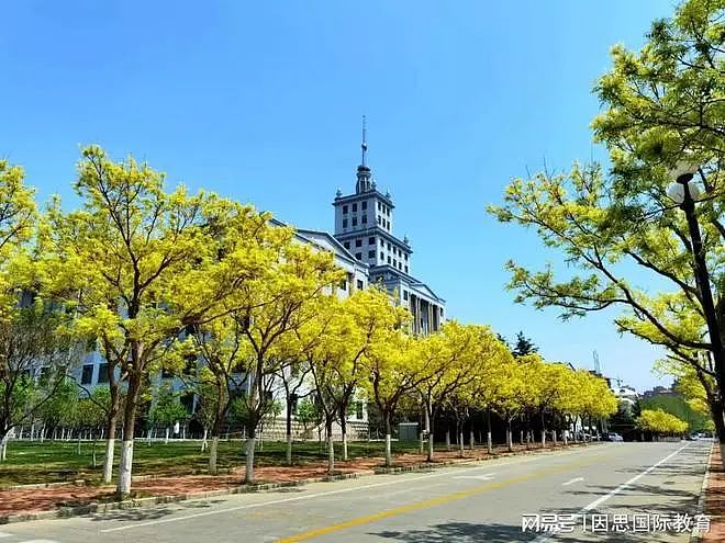高考后留学新路径：450分能否叩开澳洲八大名校之门？（组图） - 1