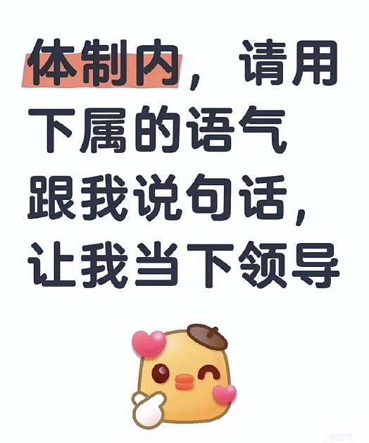 【爆笑】不小心把男朋友车上的摆件发网上，结果网友都说他有女儿了（组图） - 19
