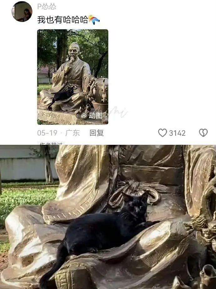“买两盒荔枝200元男友生气了是我错了吗？”啊啊啊这波我站性价比！（组图） - 61