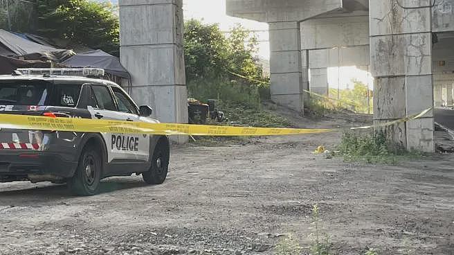 怒斥“愚蠢“! 加国省长家遭4蒙面贼盗车! 多伦多宝马和劳斯莱斯被抢, 狂徒跳下17米高架(组图) - 5