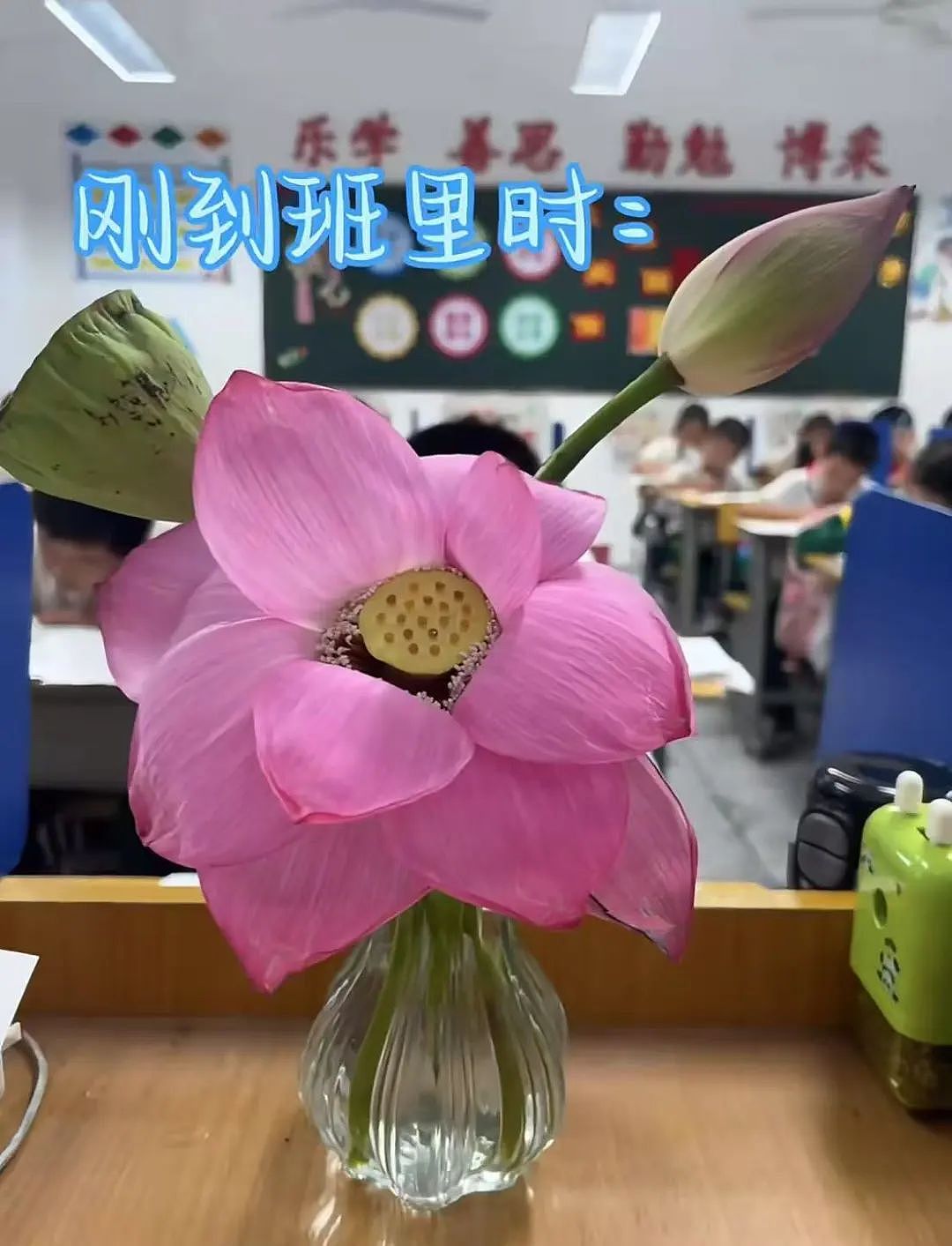 “买两盒荔枝200元男友生气了是我错了吗？”啊啊啊这波我站性价比！（组图） - 36