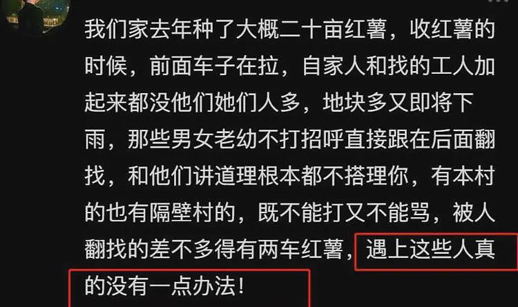 100万斤土豆被哄抢后续:种植户更新动态,不知自己已经谅解村民(视频/组图) - 8