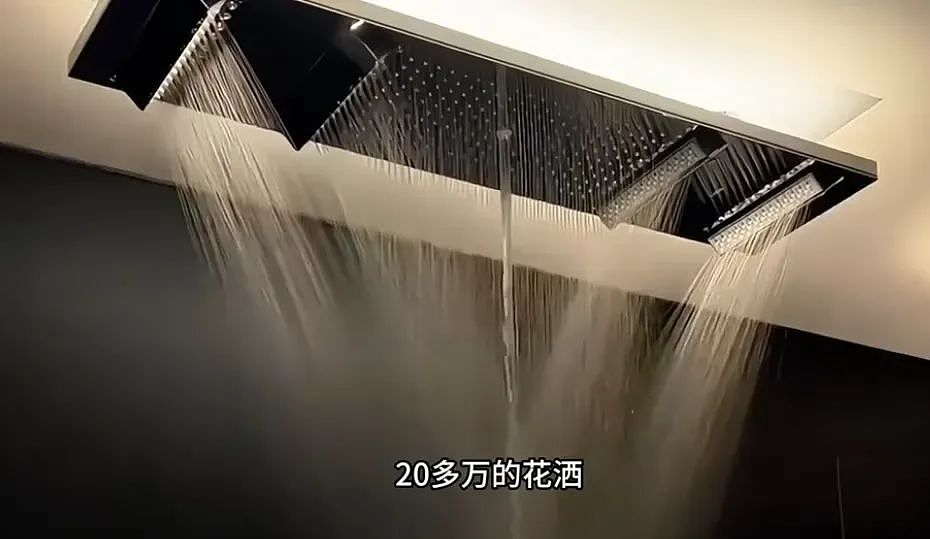 网友自拍曝光顶级别墅内景，光电费一年40万，看完明细直接懵了…（组图） - 10